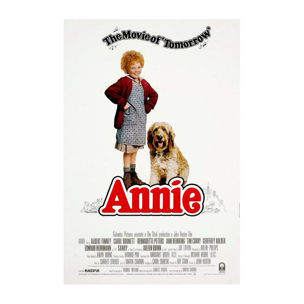 Annie 1982 DVD For Sale in Show Low Arizona - Pinedale General Store JPG